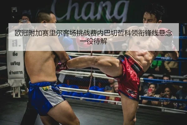 ou-guan-fu-jia-sai-li-er-ke-chang-tiao-zhan-fei-nei-ba-qie-zhe-ke-ling-xian-feng-xian-xuan-nian-yi-yi-dai-jie-1-676.jpg